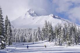 Mt Shasta ski